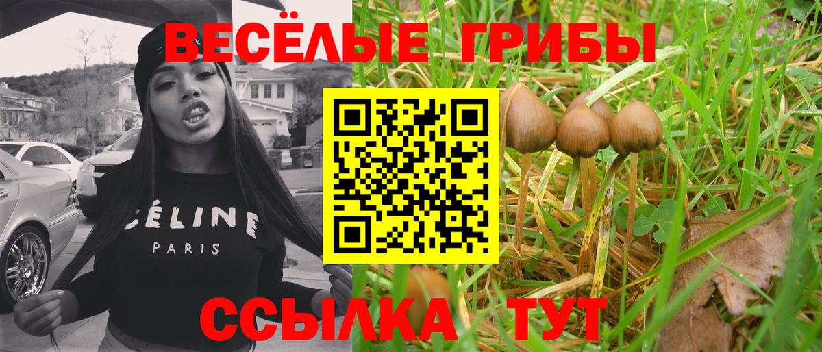 Вязьма  Псилоцибиновые грибы мухоморы  купить закладку  Вход с VPN 